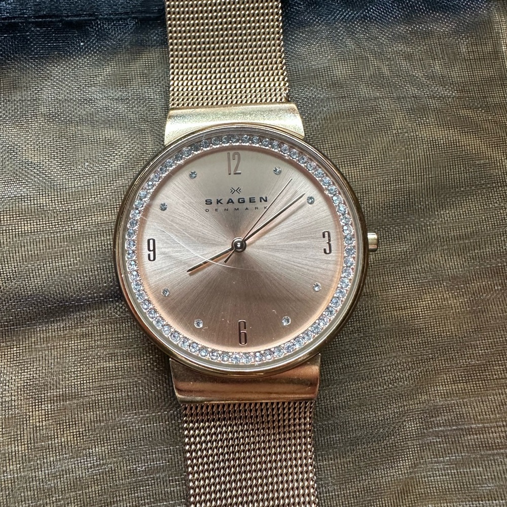 Skagen Rose Gold Mesh Watch Band with Branded Clasp